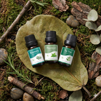 Essential Oil Trio Pack – Choose Any 3