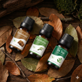Essential Oil Trio Pack – Choose Any 3