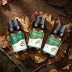 Essential Oil Trio Pack – Choose Any 3